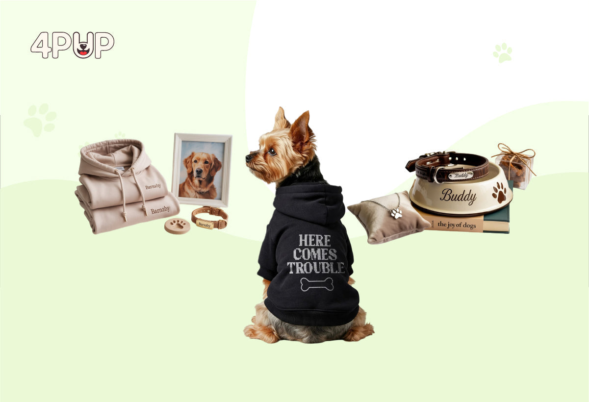 11 Best Gift Ideas for Dog Owners in 2025