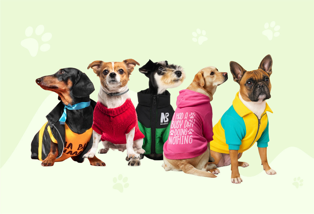 Dog clothing ideas and trends
