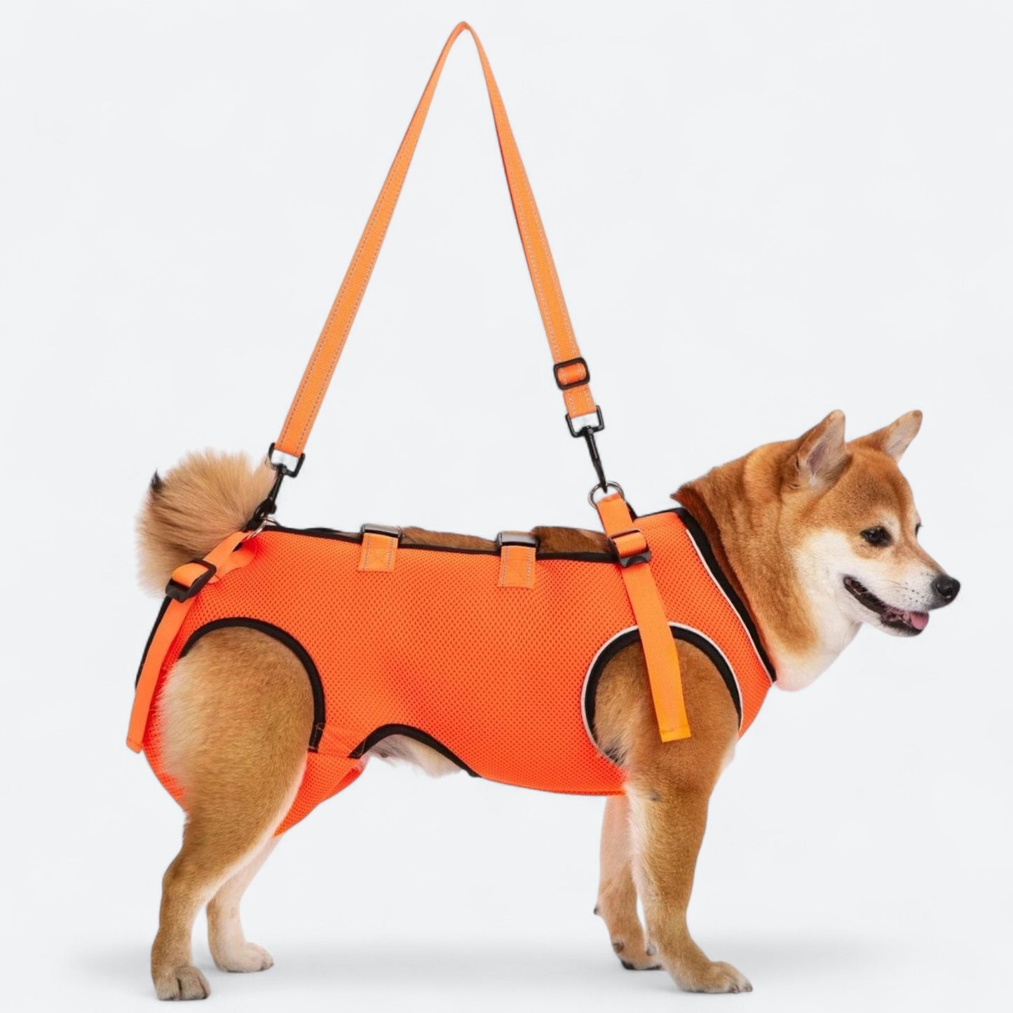 Dog-Lift-Harness-for-Injured-and-Elderly-Dogs.jpg