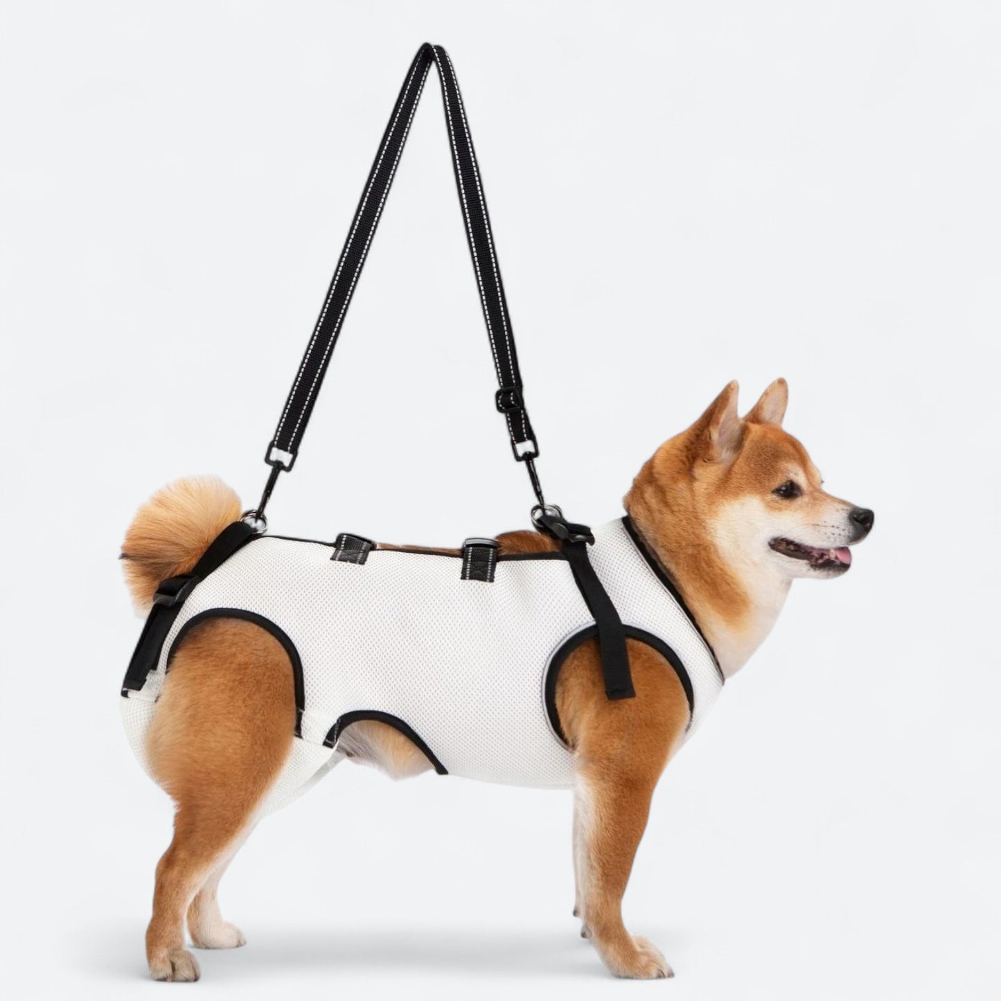 Dog-Lift-Harness-for-Injured-and-Elderly-Dogs.jpg