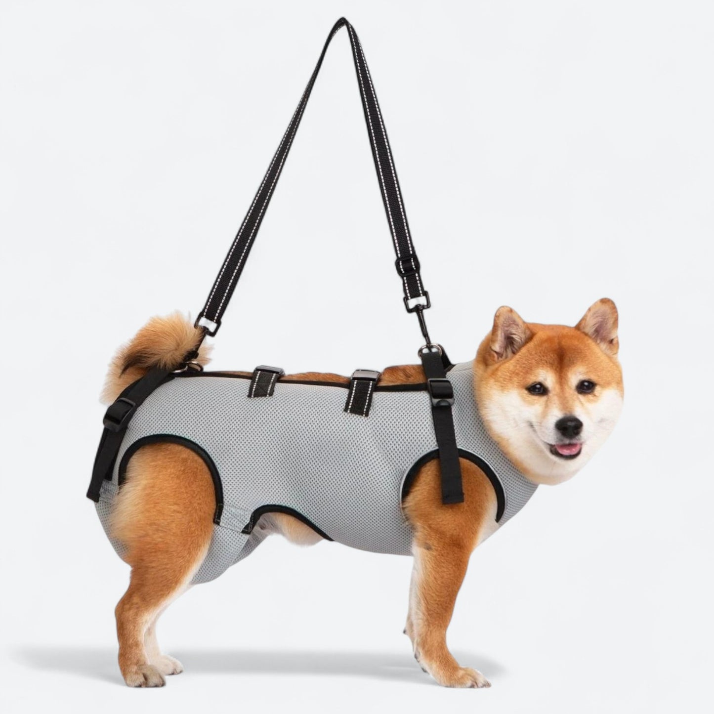 Dog-Lift-Harness-for-Injured-and-Elderly-Dogs.jpg