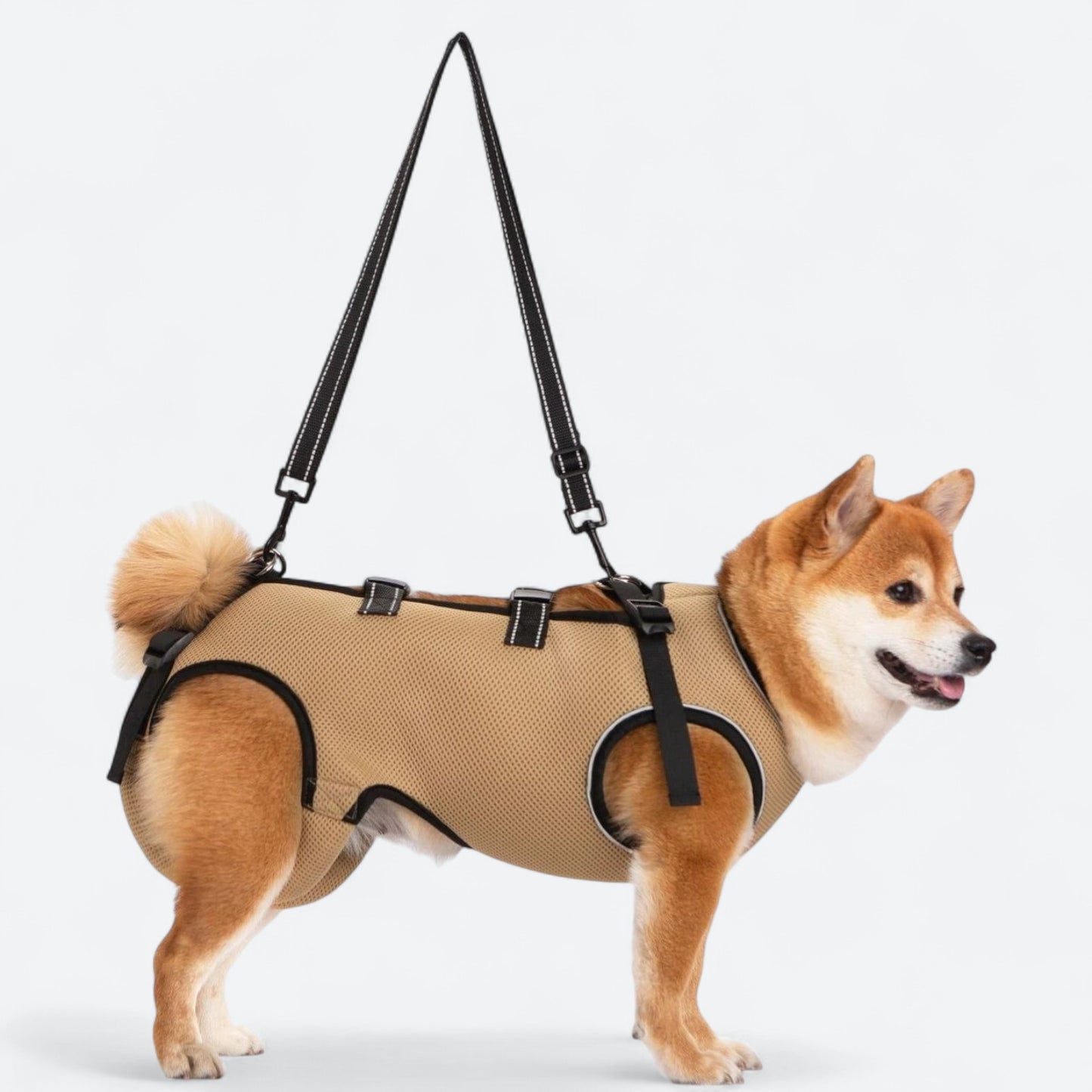 Dog-Lift-Harness-for-Injured-and-Elderly-Dogs.jpg