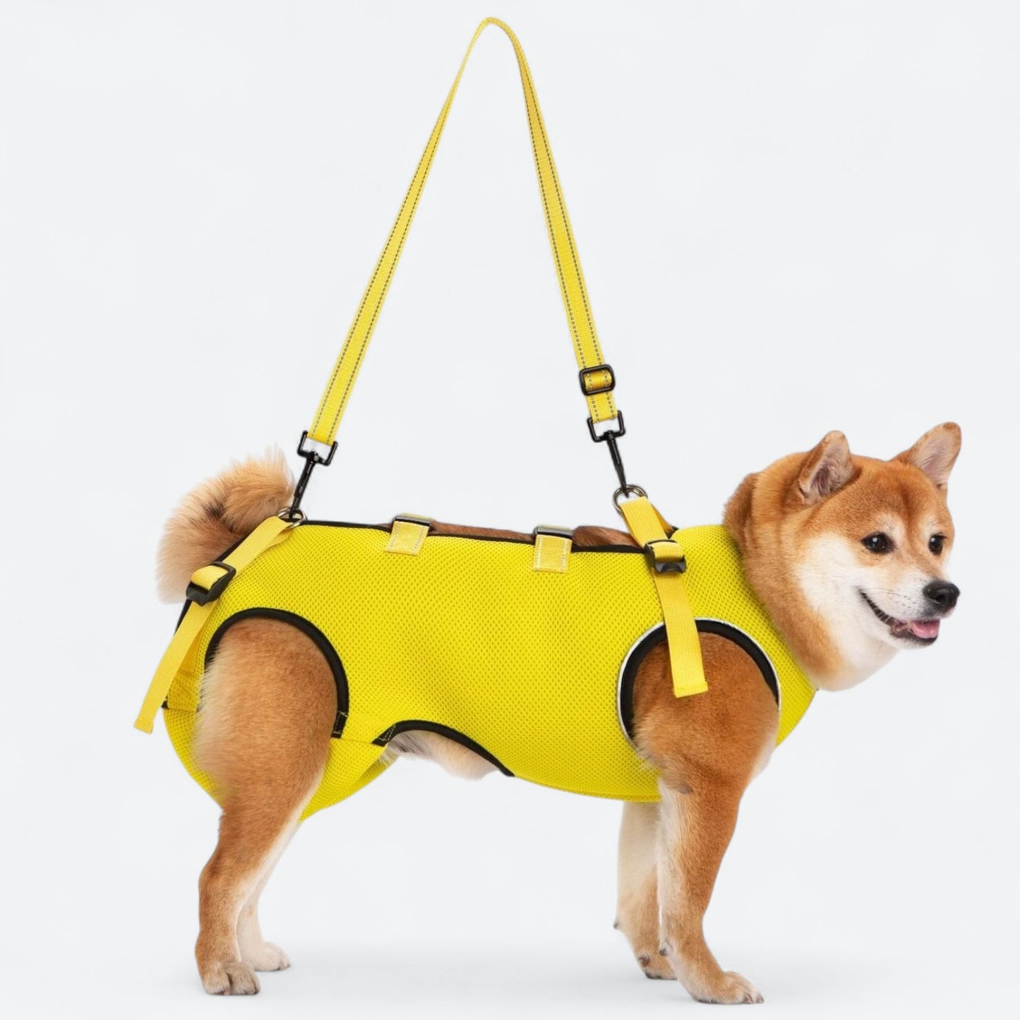 Dog-Lift-Harness-for-Injured-and-Elderly-Dogs.jpg