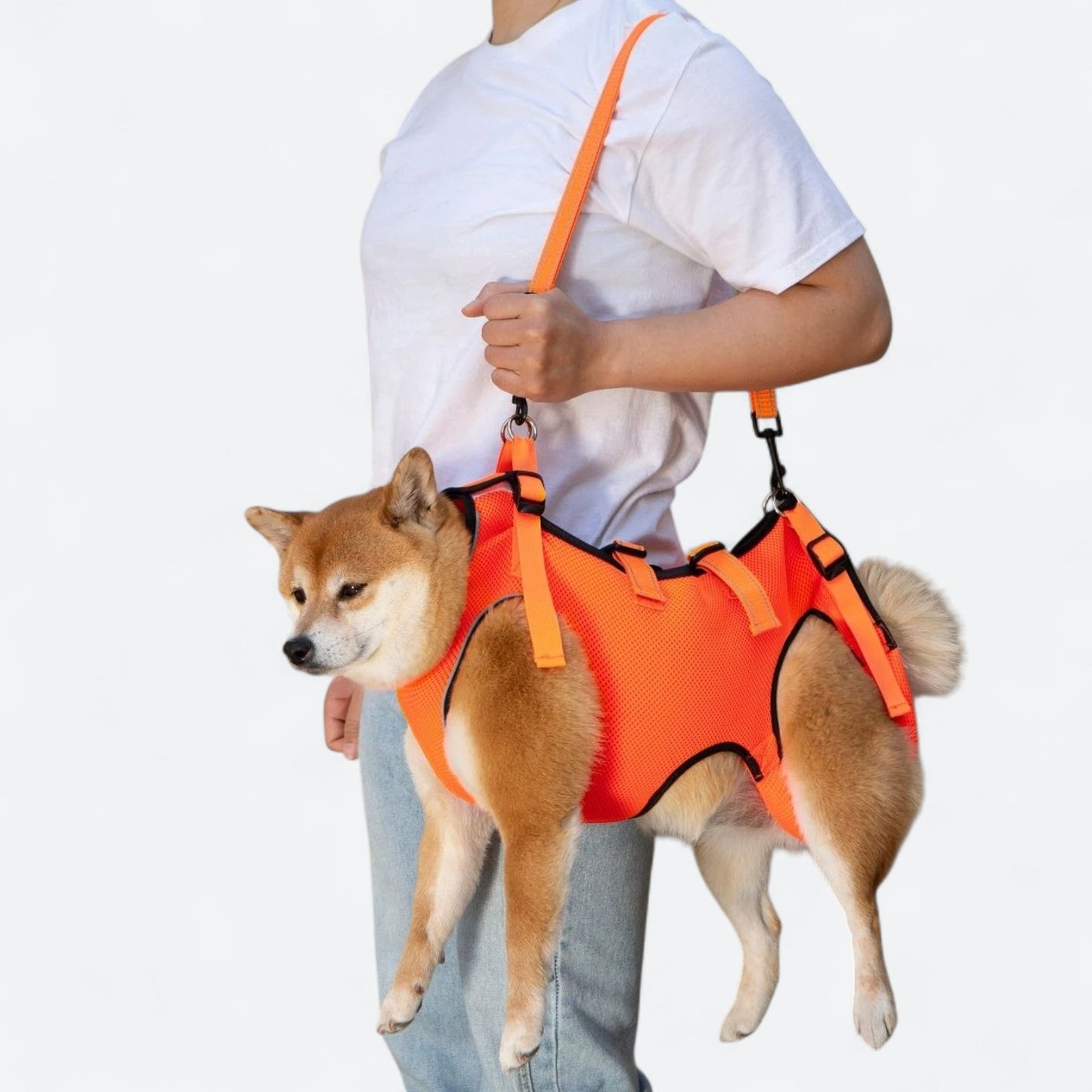 Dog-Lift-Harness-for-Injured-and-Elderly-Dogs.jpg