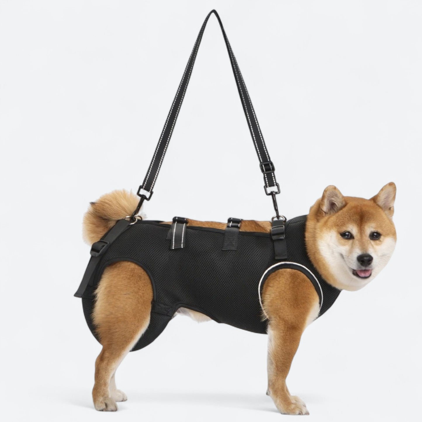 Dog-Lift-Harness-for-Injured-and-Elderly-Dogs.jpg