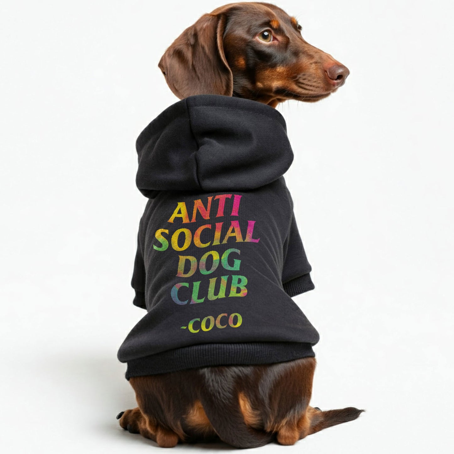 Anti-Social Dog Club - personalized hoodie with your dog name – dog hoodie – dog clothes