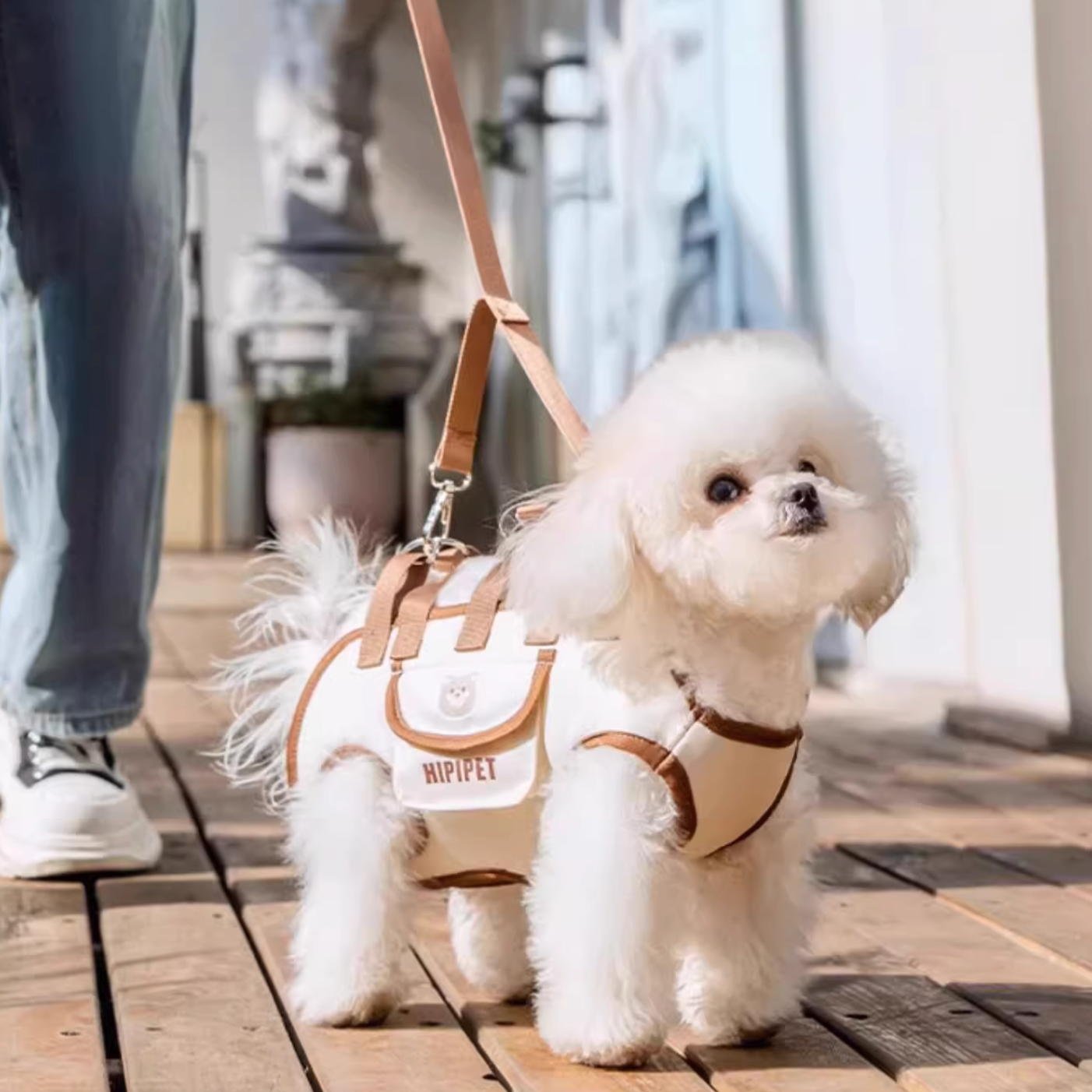 Shoulder Crossbody Dog Carrier for small dogs
