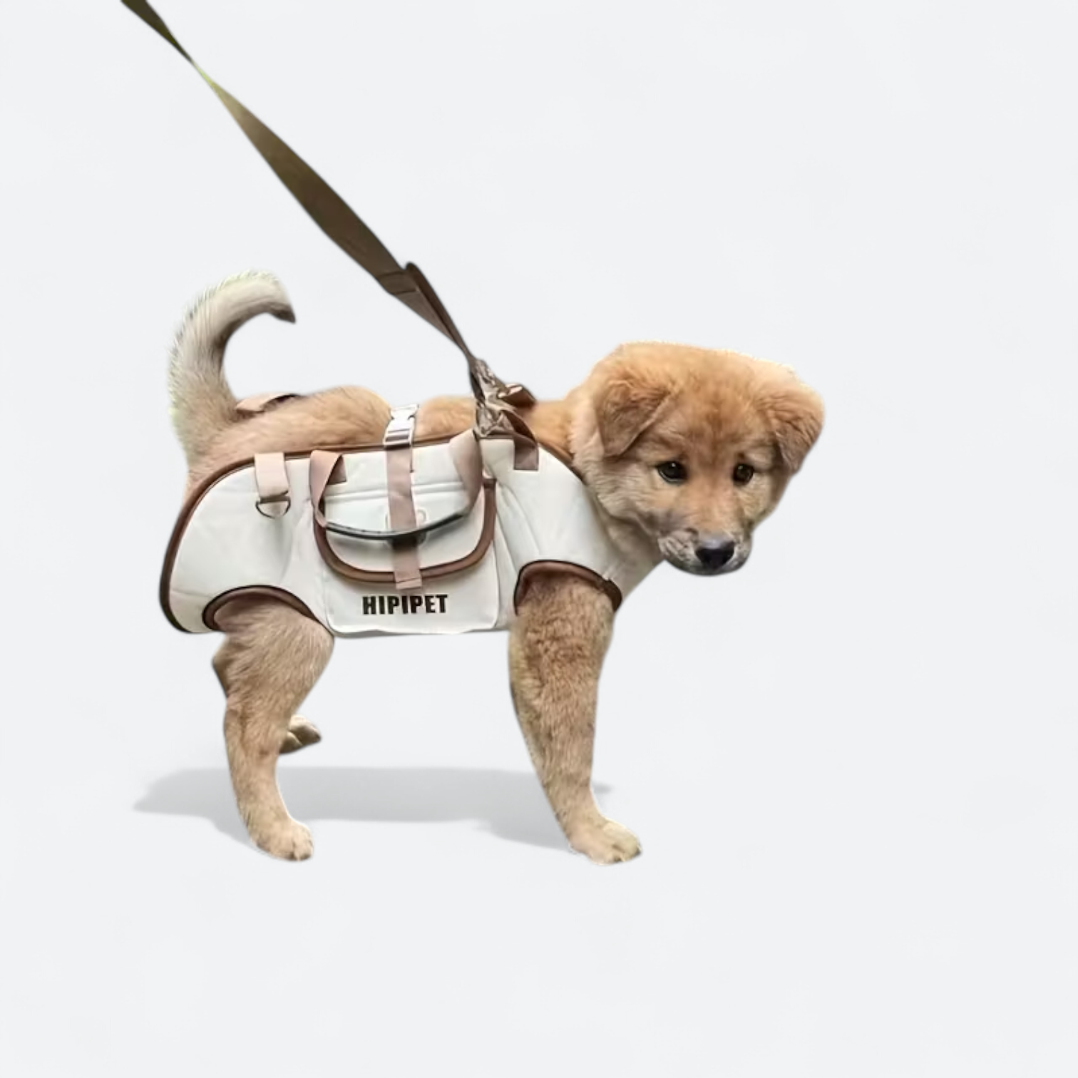Shoulder-Crossbody-Dog-Carrier.jpg