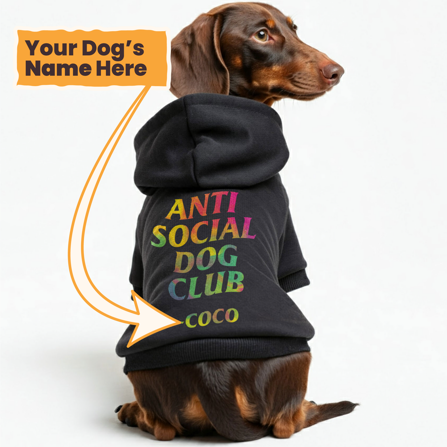 Anti-Social Dog Club - personalized hoodie with your dog name – dog hoodie – dog clothes