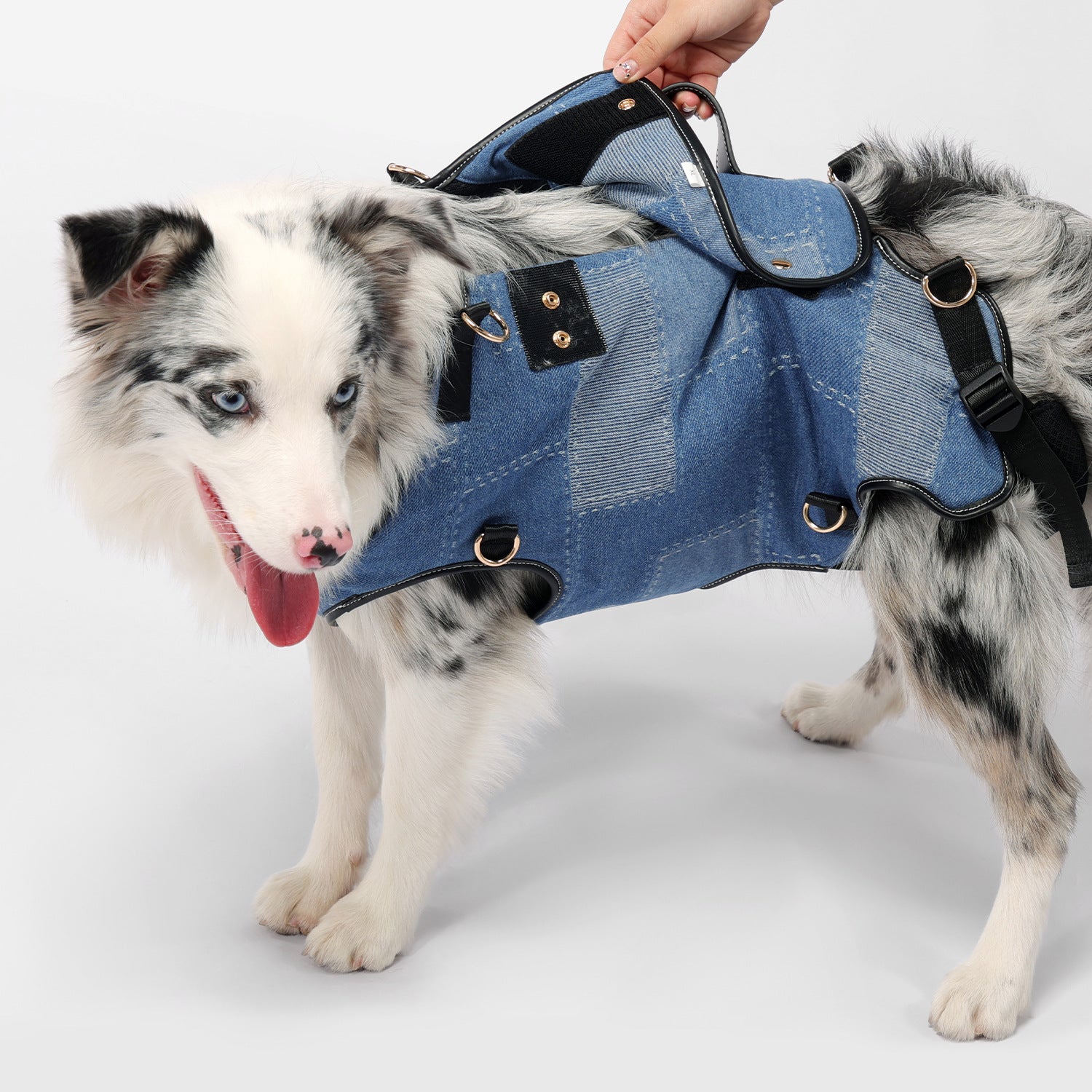 Ventilation Dog Backpack Carrier