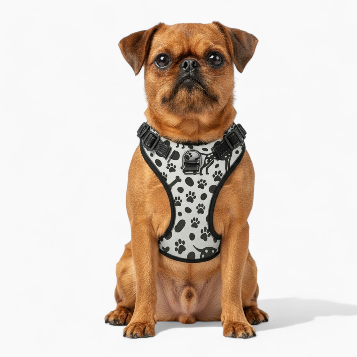 Sunny - NO-PULL Dog Harness & Leash Set | for small and large Dogs