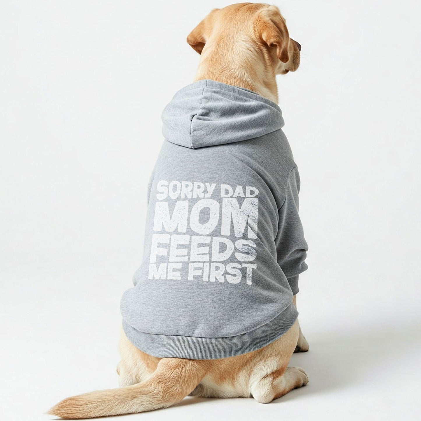Sorry Dad, Mom feeds me first - Labrador Hoodie - Dog Clothes