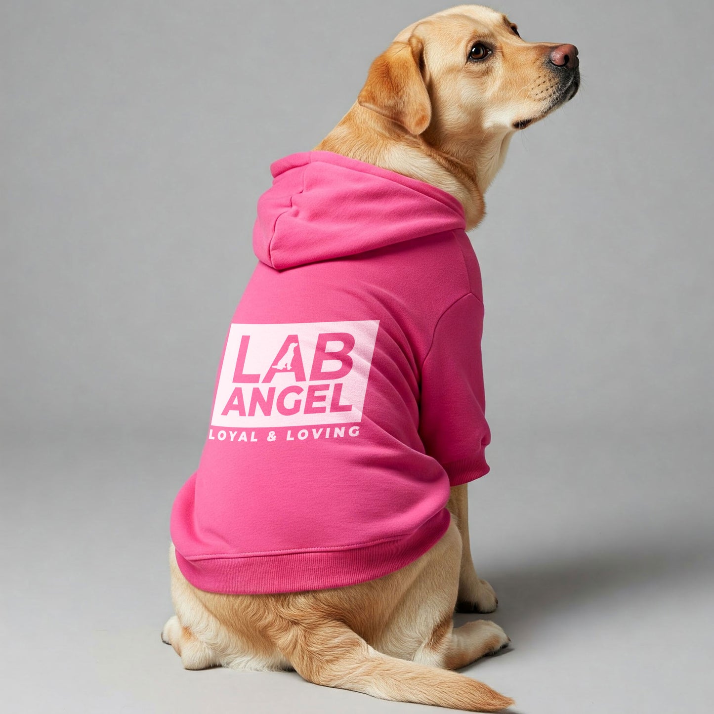 LABRADOR ANGEL ,LOYAL & LOVING - Labrador Hoodie - Dog Clothes
