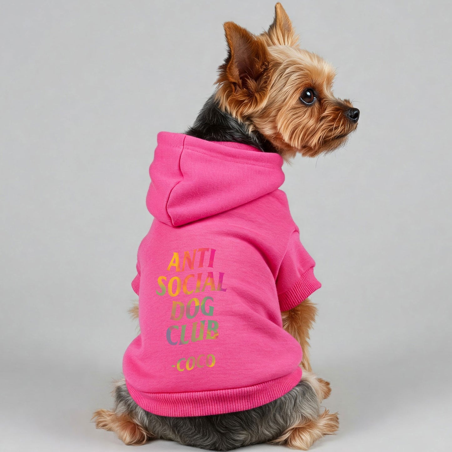 Anti-Social Dog Club - personalized hoodie with your dog name – dog hoodie – dog clothes