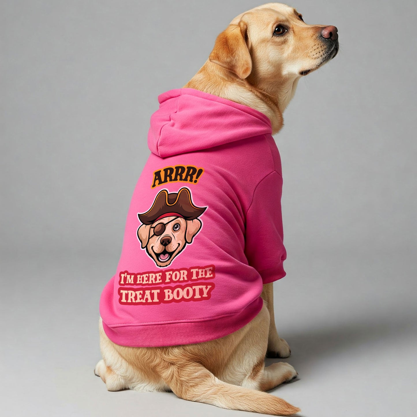 Arrr! I’m Here for the Treat Booty - Labrador Hoodie - Dog Clothes