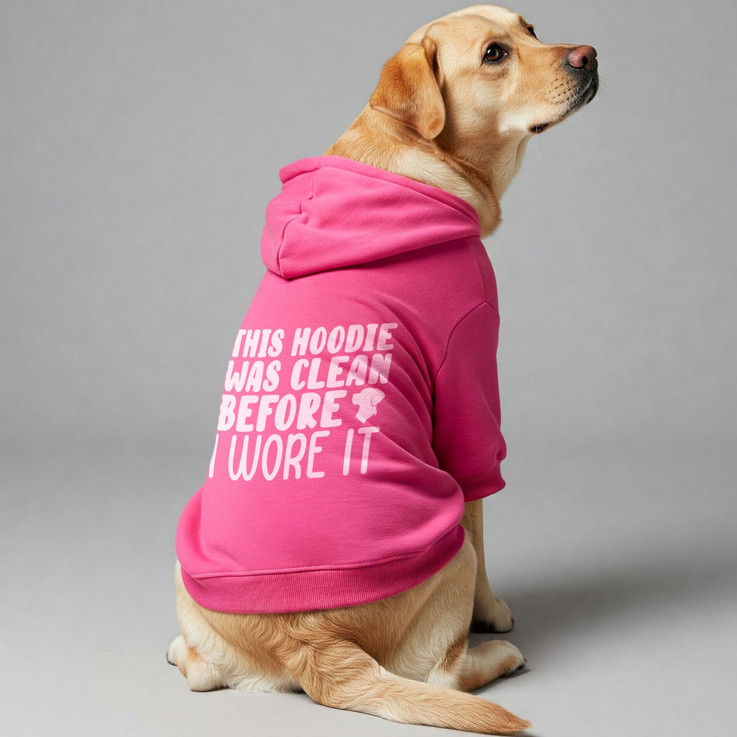 This hoodie was clean before I wore it - Labrador Hoodie - Dog Clothes