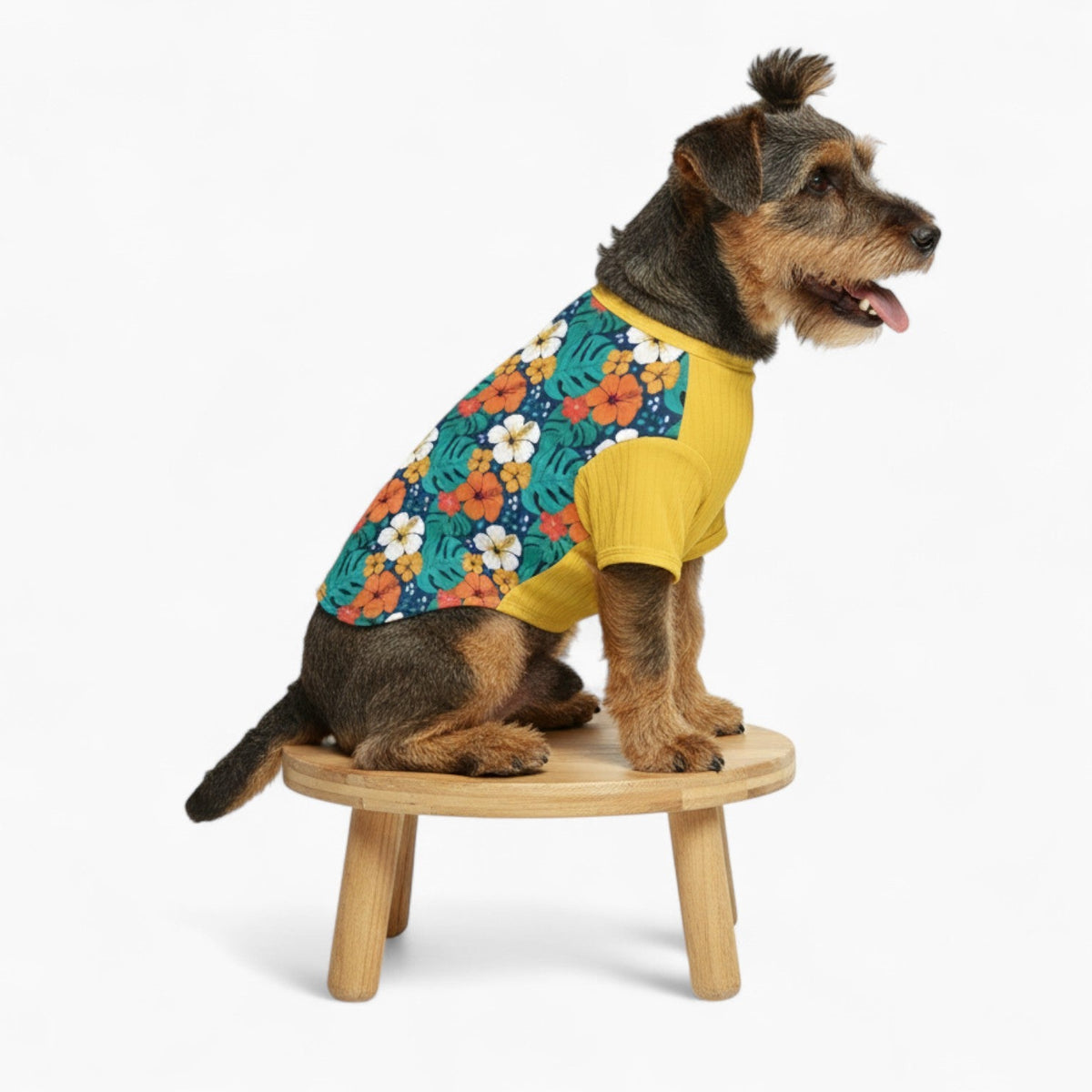 Honey - Dog Wool Sweater