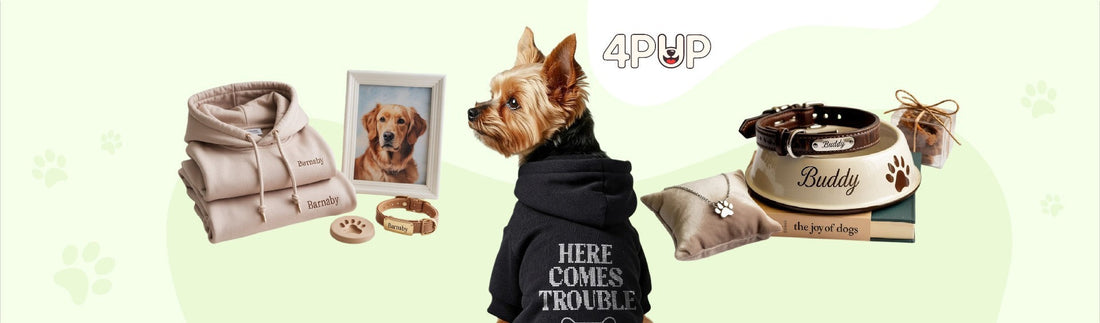 best gifts for dog owners