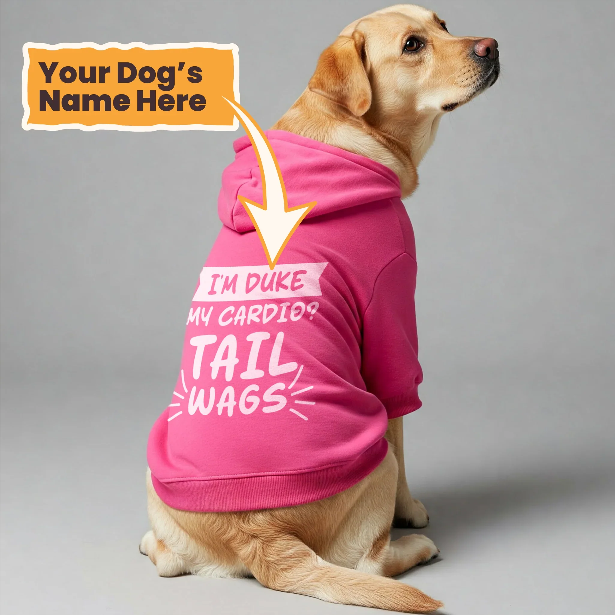 Pawsonalized Picks Hoodies
