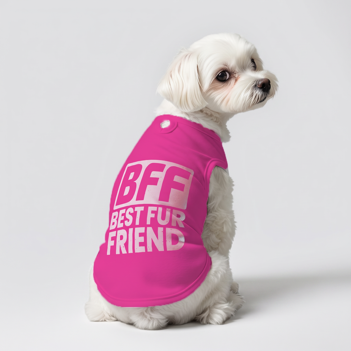 Dog shirt on a dog – 4PuP