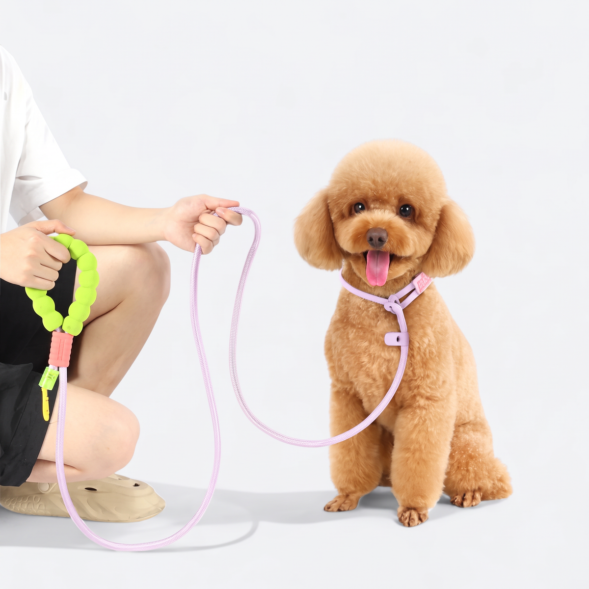 Dog leash on a dog – 4PuP