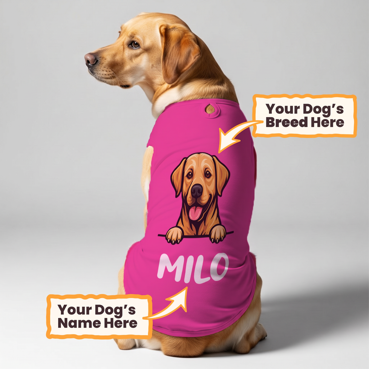 Custom dog shirt on a dog – 4PuP