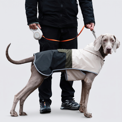 Raincoats