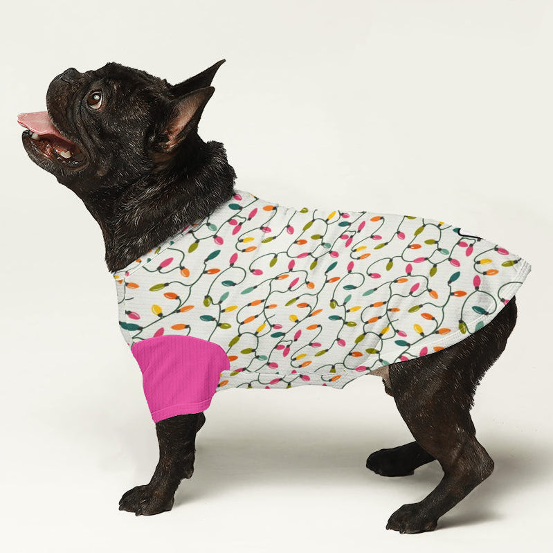 Diesel- Dog Wool Sweater