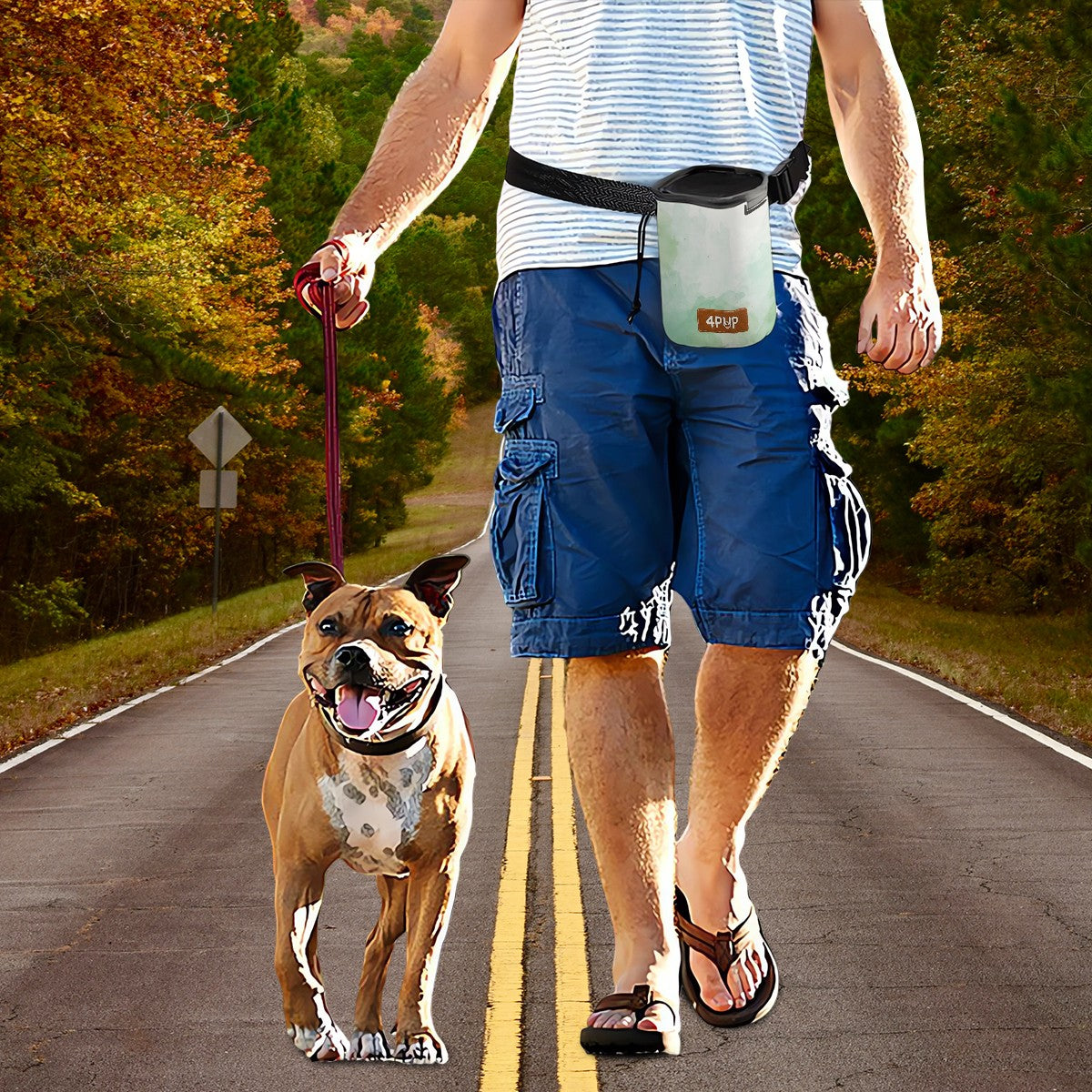 Toby -  Dog Treat Pouch | Training Bag | Waist Clip | Bag Dispenser