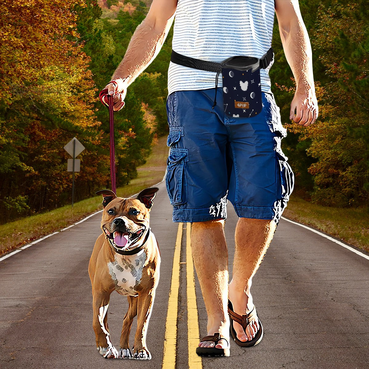 Apollo -  Dog Treat Pouch | Training Bag | Waist Clip | Bag Dispenser