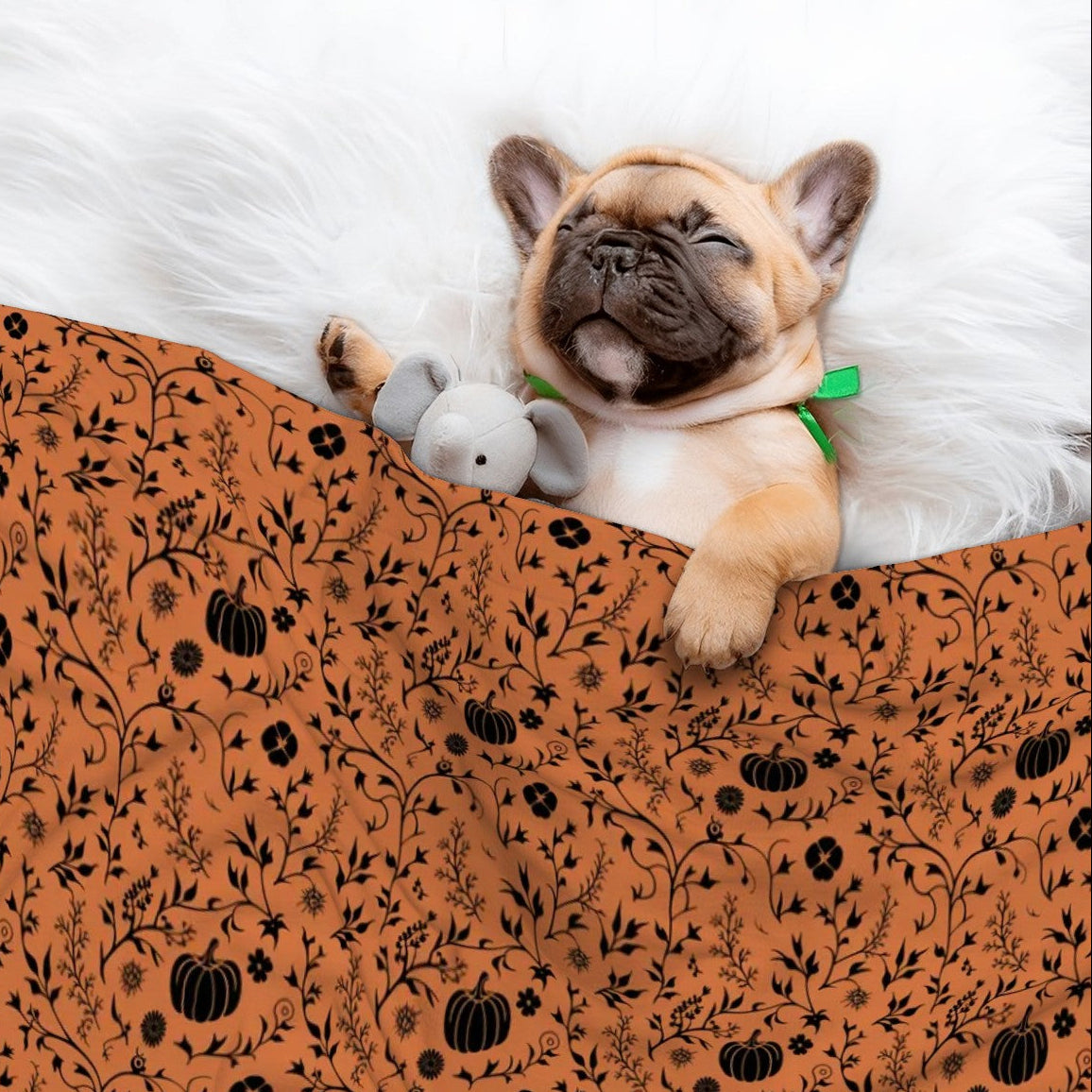 Nova - Cozy Dog Blanket