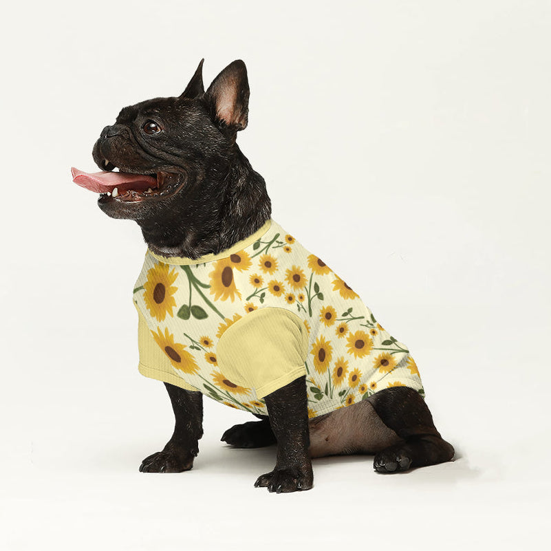 Chester - Dog Wool Sweater