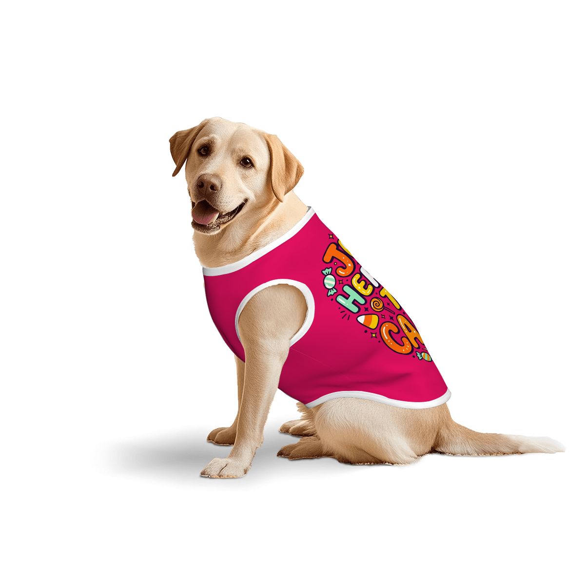 Just Here for the Candy Big Dog Shirt