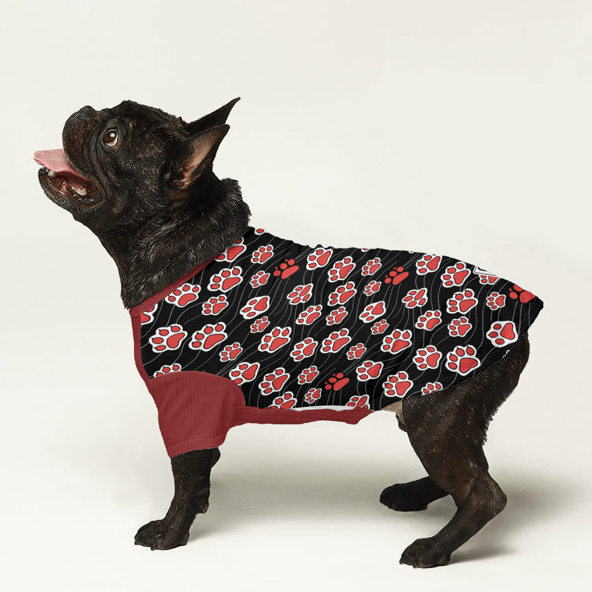 Angel - Dog Wool Sweater