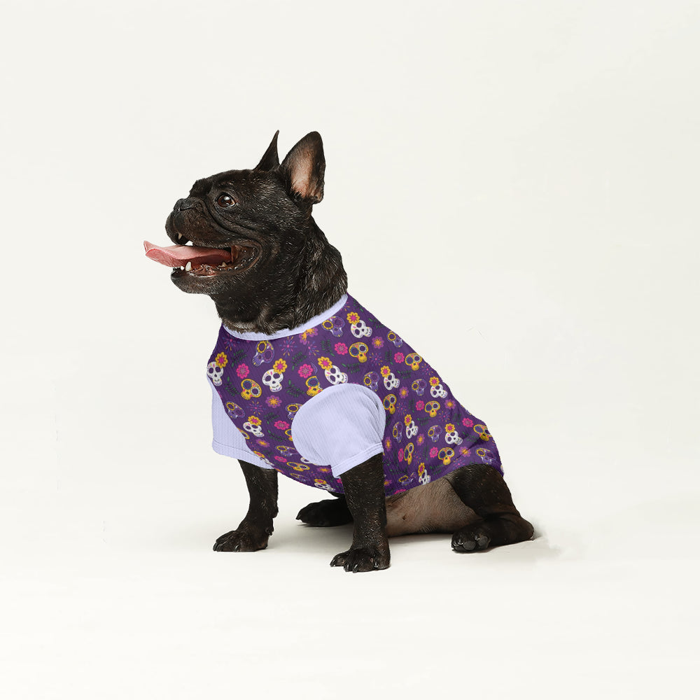 Rocco - Dog Wool Sweater