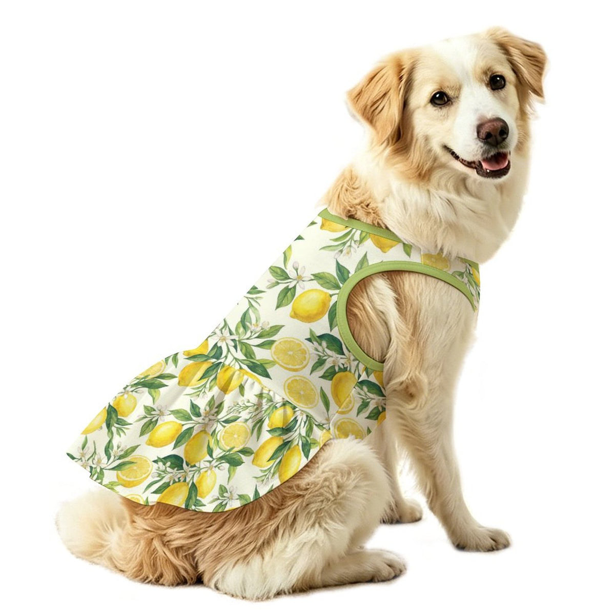 Mediterranean Lemon Blossom Large Dog Ruffle Dog Dress