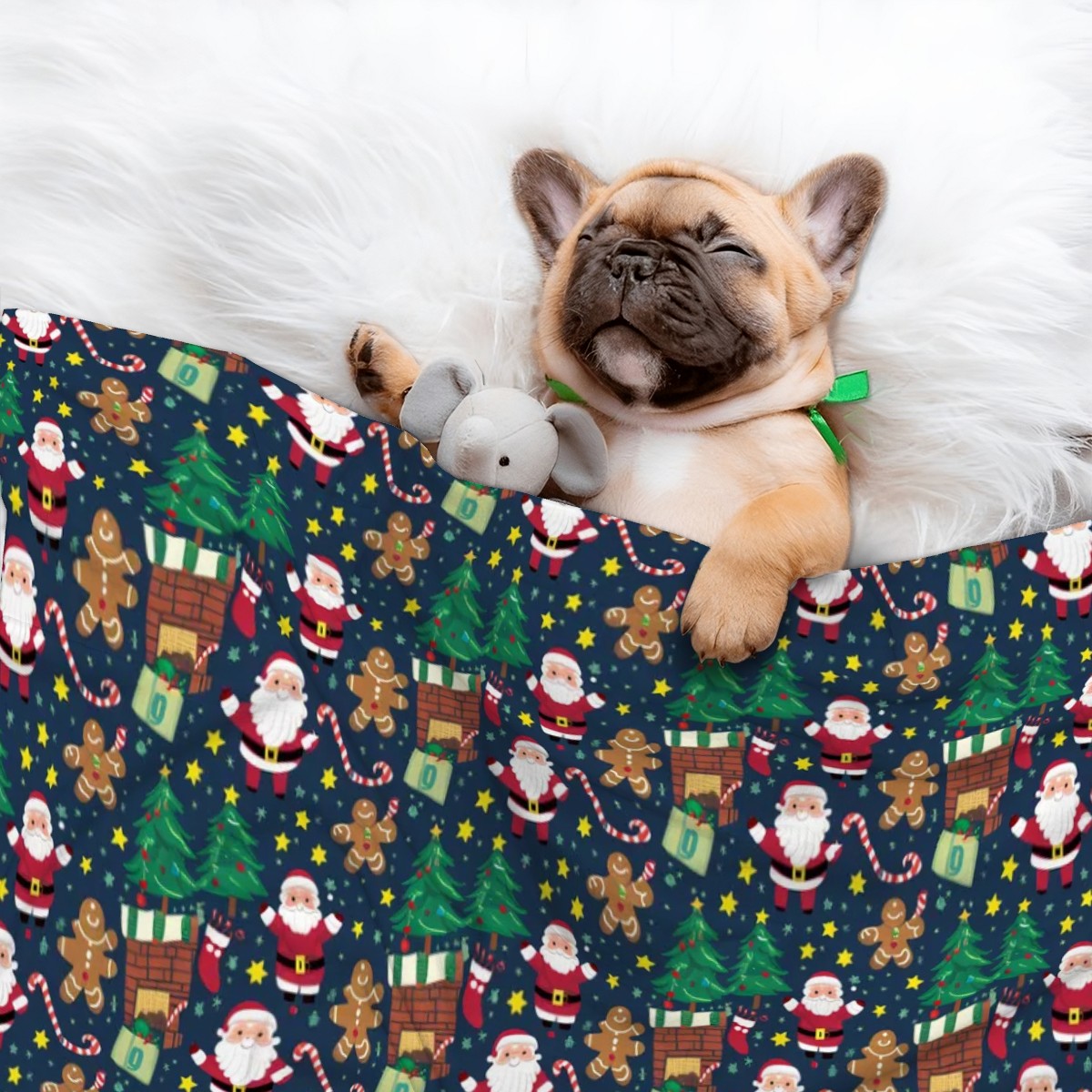 Frankie - Cozy Dog Blanket