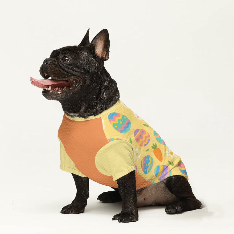 Willow - Dog Wool Sweater