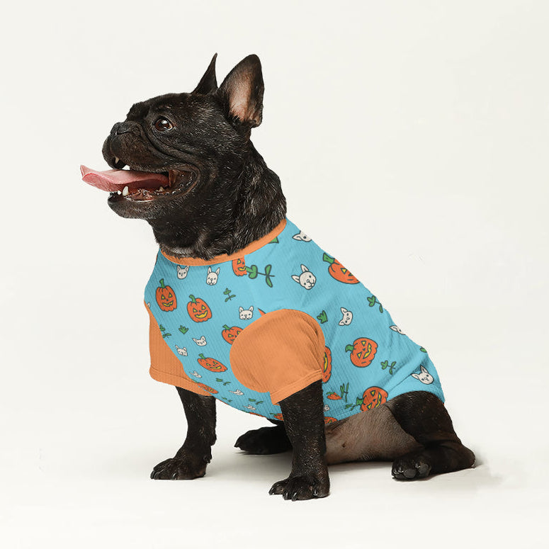 Sunny - Dog Wool Sweater