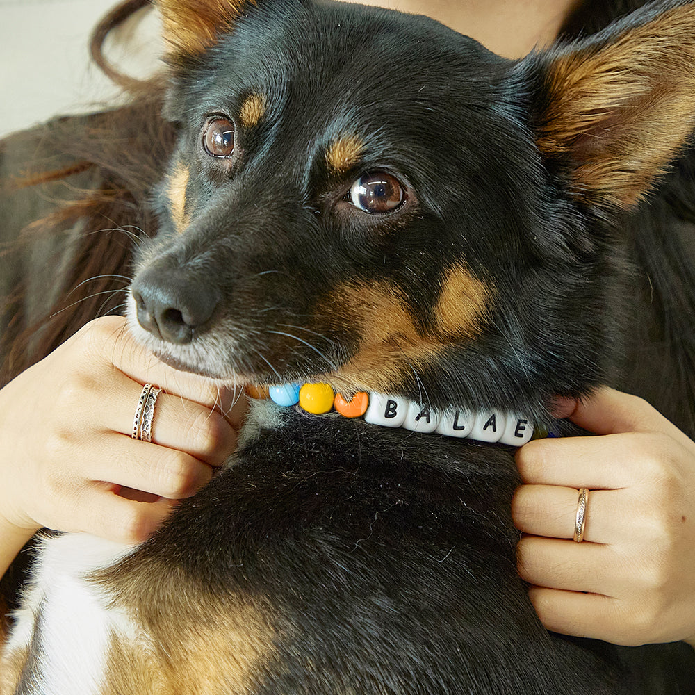Custom Beaded Pet Collar – Personalized Dog Lover Gift