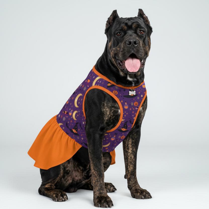 Halloween Witch Pumpkin Large Dog Ruffle Dog Dress