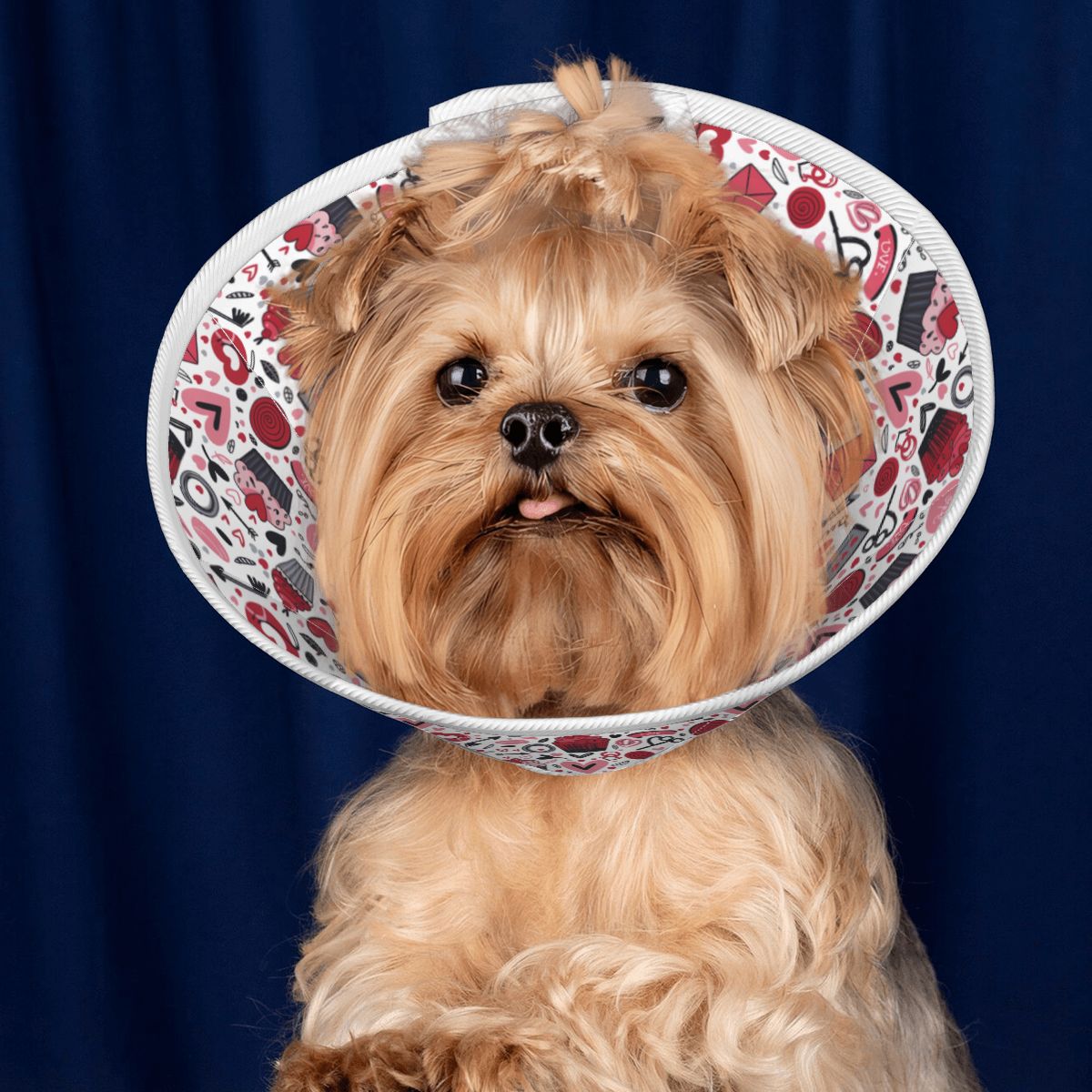 Oliver - Soft Dog Cone & Elizabethan Collar