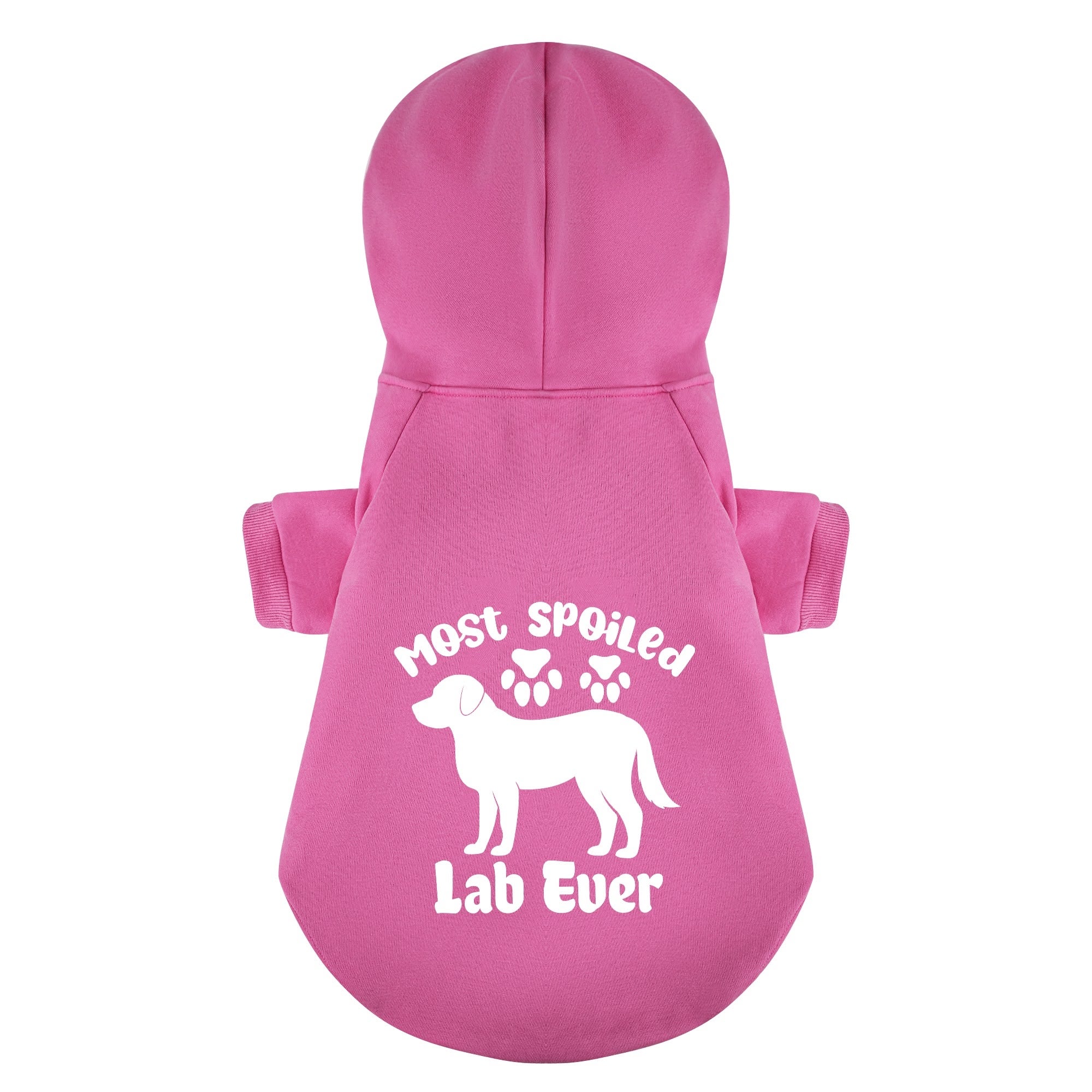 Most Spoiled Lab Ever - Labrador Hoodie - Dog Clothes