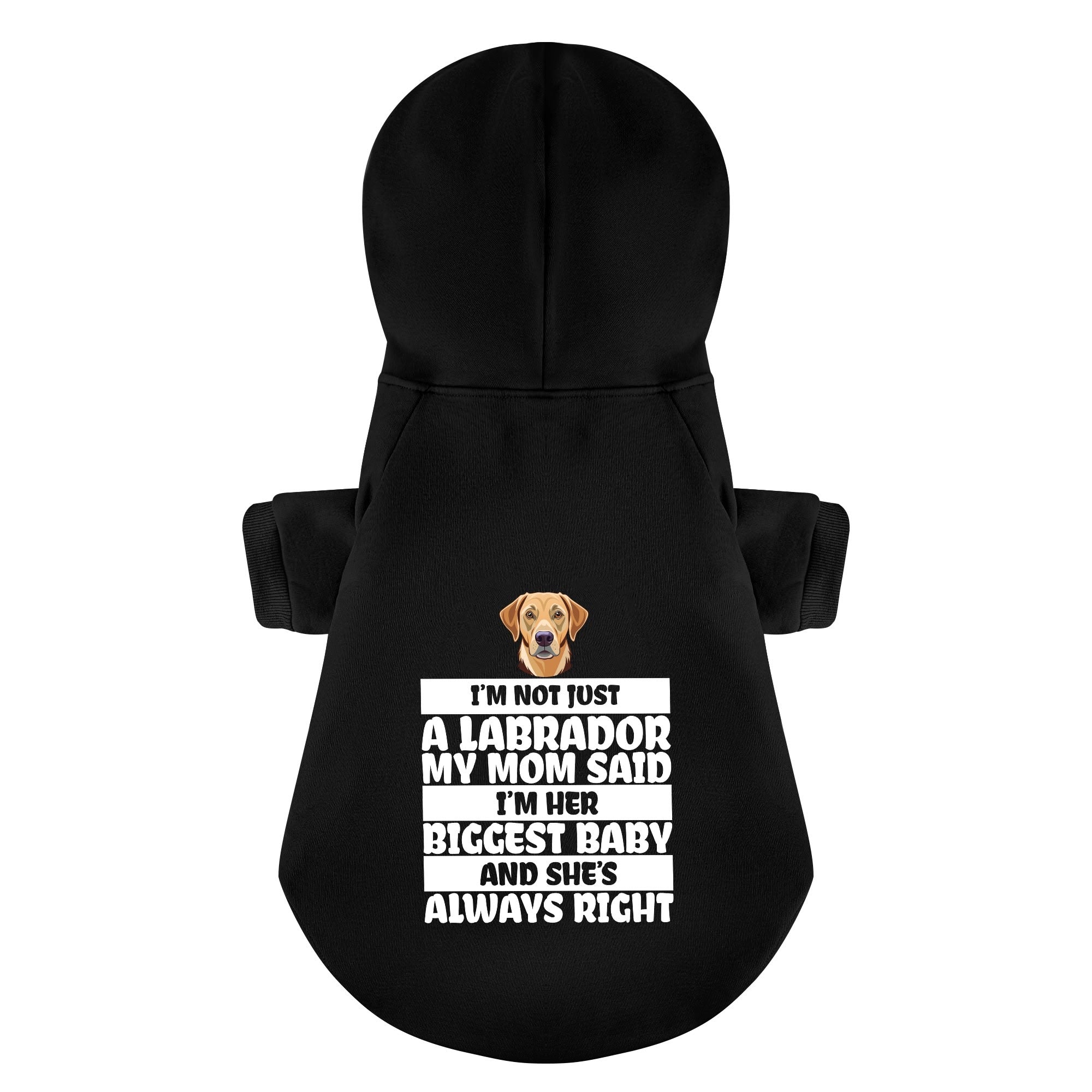 I’m not just a Labrador… My mom said I’m her biggest baby, and she’s always right - Labrador Hoodie - Dog Clothes