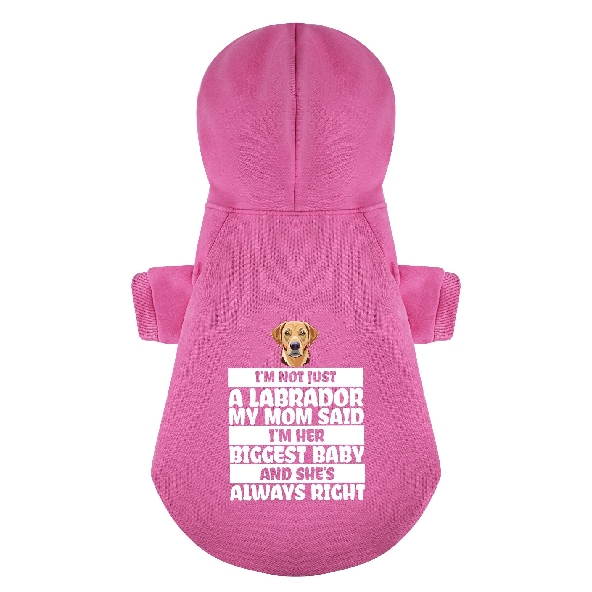 I’m not just a Labrador… My mom said I’m her biggest baby, and she’s always right - Labrador Hoodie - Dog Clothes