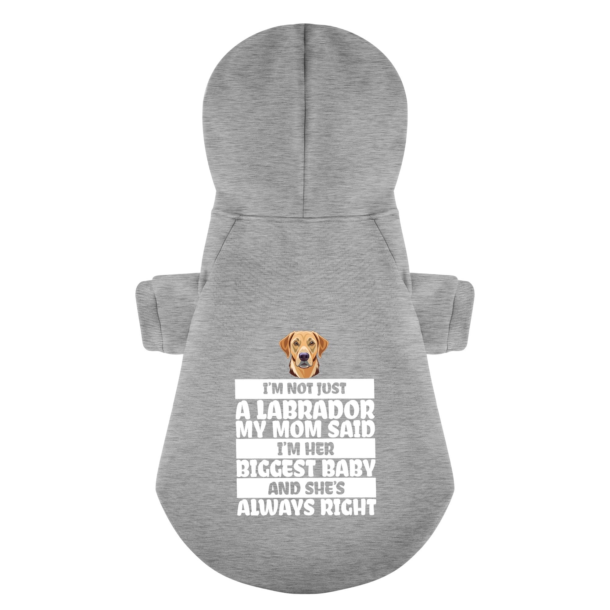I’m not just a Labrador… My mom said I’m her biggest baby, and she’s always right - Labrador Hoodie - Dog Clothes