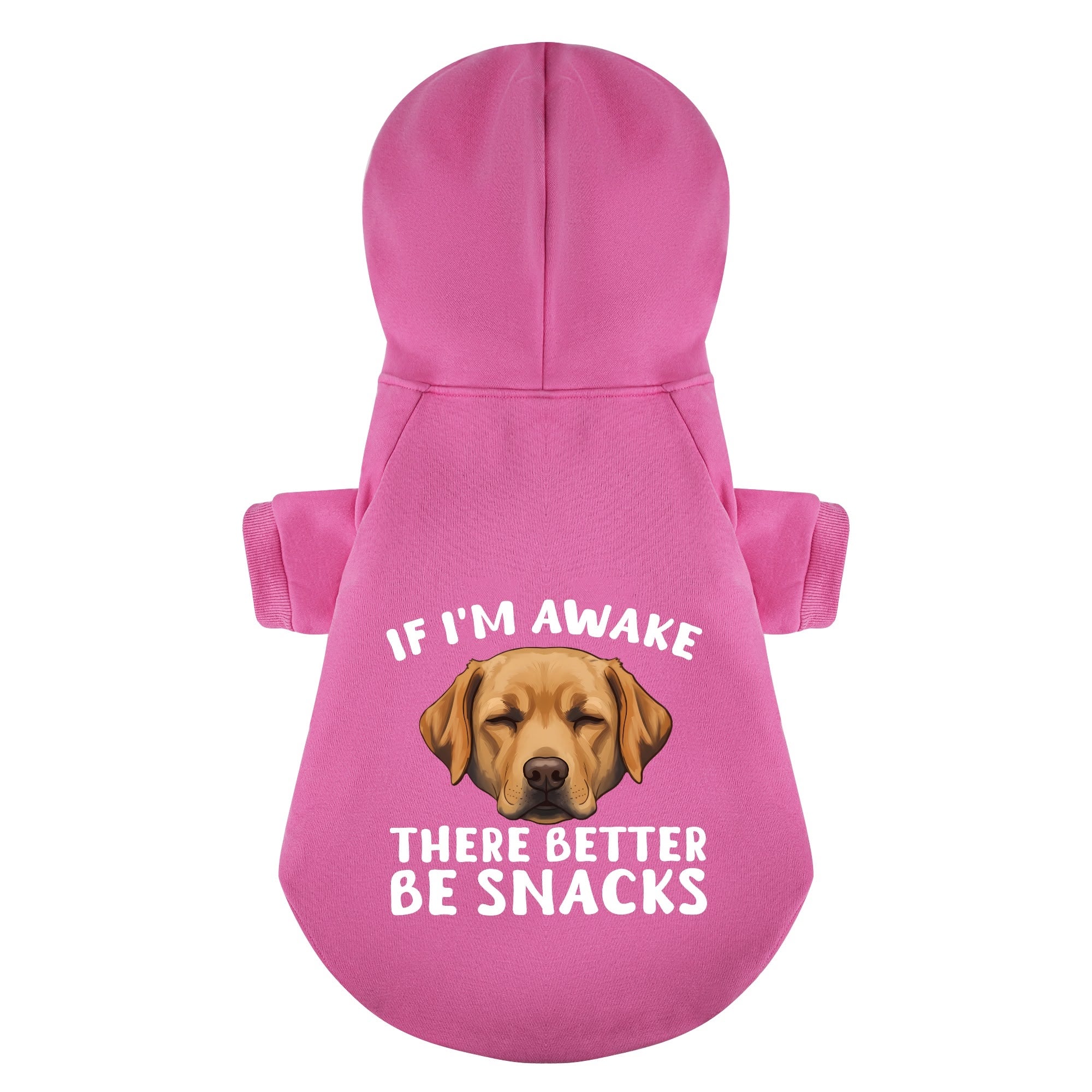 If Im awake, there better be snacks - Labrador Hoodie - Dog Clothes