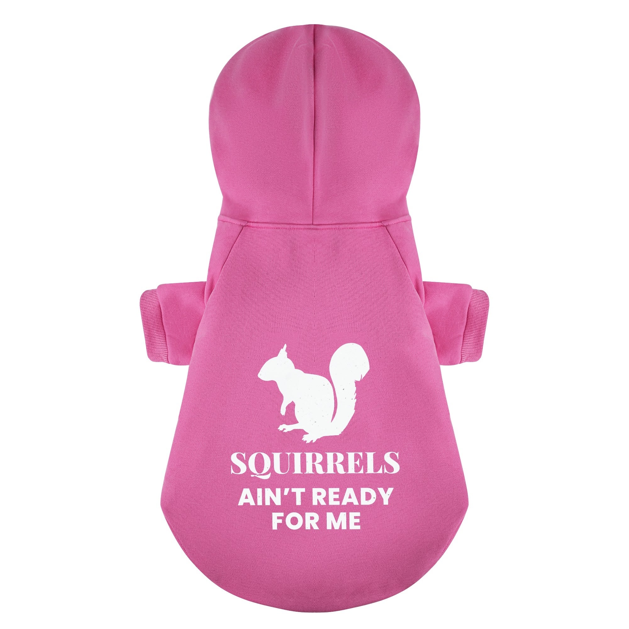 SQUIRRELS AIN’T READY FOR ME - Labrador Hoodie - Dog Clothes