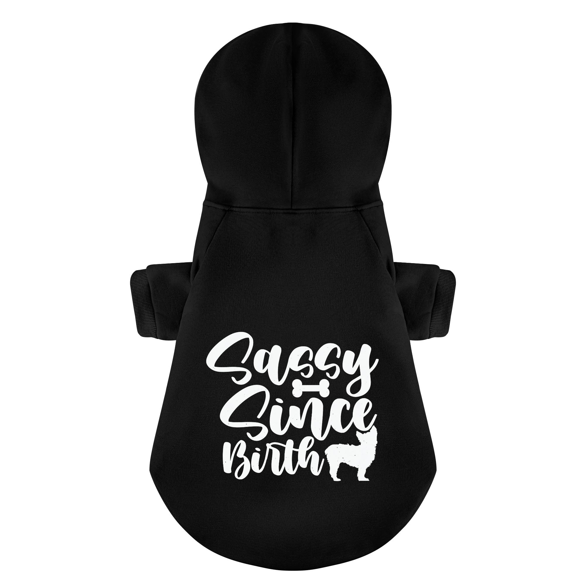 Sassy Since Birth - Yorkie Hoodie - Dog Clothes
