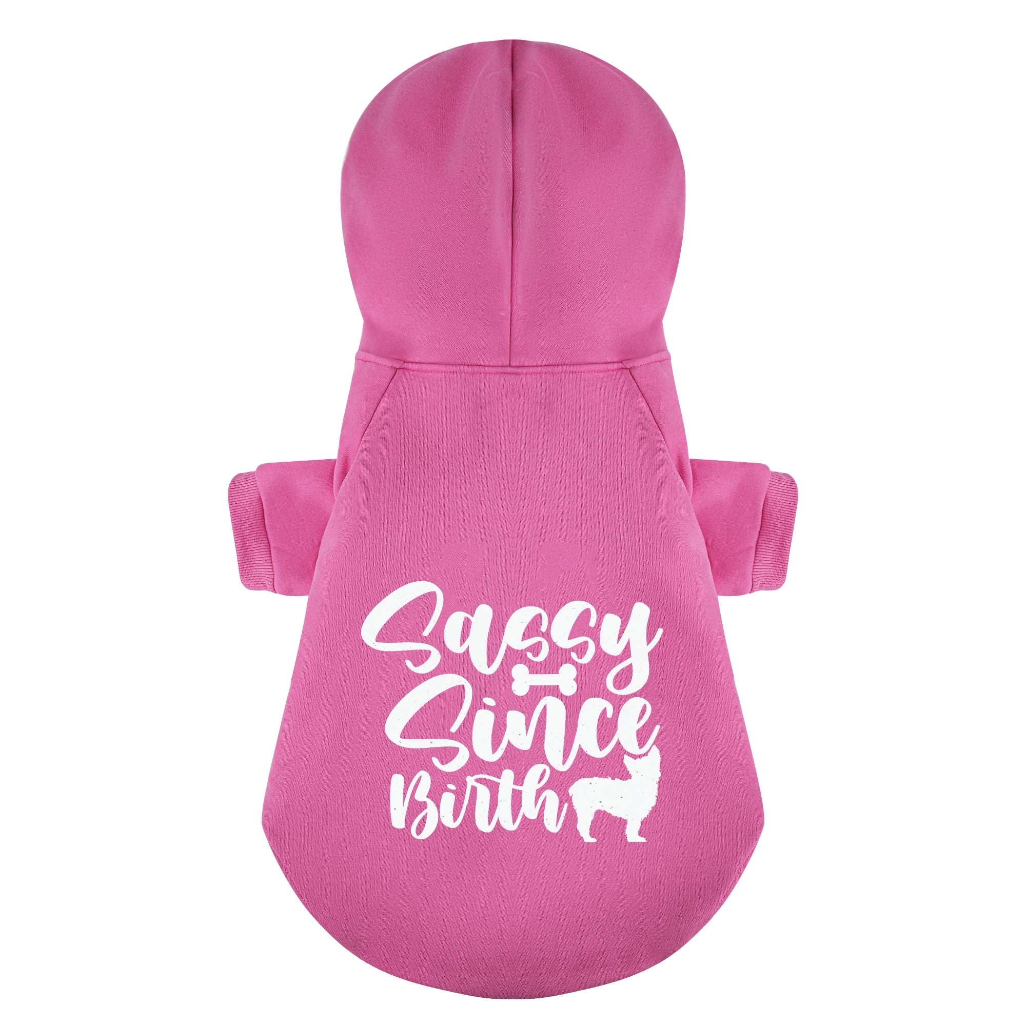 Sassy Since Birth - Yorkie Hoodie - Dog Clothes